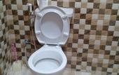 Туры в отель Al-Houriat Hotel