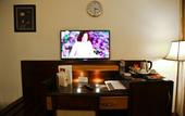 Туры в отель Al Thuraya Hotel Amman