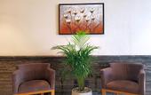 Туры в отель Gloria Hotel Amman