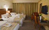 Туры в отель Saray Hotel