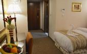 Туры в отель Saray Hotel