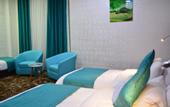 Туры в отель The Castle hotel