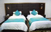 Туры в отель The Castle hotel