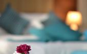Туры в отель The Castle hotel