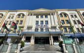 Туры в отель The Castle hotel