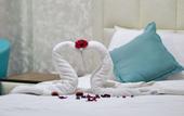Туры в отель The Castle hotel