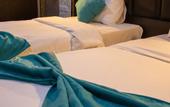 Туры в отель The Castle hotel
