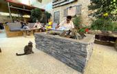 Туры в отель Carob Hostel