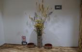 Туры в отель Carob Hostel