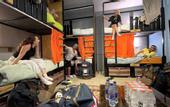 Туры в отель Carob Hostel