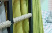 Туры в отель Carob Hostel