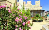 Туры в отель Shurooq Shams Hotel & Tours By Sunrise
