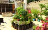 Туры в отель Shurooq Shams Hotel & Tours By Sunrise