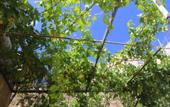 Туры в отель Shurooq Shams Hotel & Tours By Sunrise