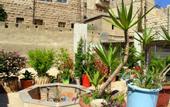 Туры в отель Shurooq Shams Hotel & Tours By Sunrise