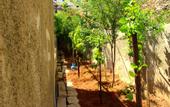 Туры в отель Shurooq Shams Hotel & Tours By Sunrise