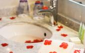 Туры в отель Rival Hotel Amman