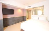 Туры в отель Shibuya Hotel En
