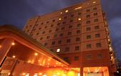 Туры в отель Hotel Route Inn Nago