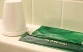 Туры в отель Hotel Route Inn Nago
