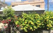 Туры в отель Goyah-so Guesthouse