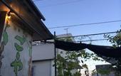 Туры в отель Goyah-so Guesthouse