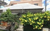 Туры в отель Goyah-so Guesthouse