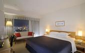 Туры в отель Hotel Emisia Sapporo