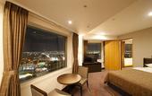 Туры в отель Hotel Emisia Sapporo