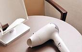 Туры в отель Daini Fuji Hotel
