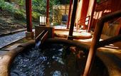 Туры в отель Taketoritei Maruyama