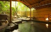 Туры в отель Taketoritei Maruyama
