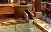 Туры в отель Taketoritei Maruyama