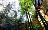 Туры в отель Taketoritei Maruyama