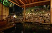 Туры в отель Taketoritei Maruyama