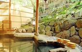 Туры в отель Taketoritei Maruyama