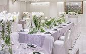 Туры в отель Hotel Plumm