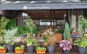Туры в отель Hotel Asyl Nara Annex