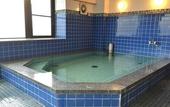 Туры в отель Hotel Asyl Nara Annex