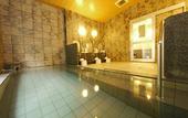 Туры в отель Hotel Route Inn Shibukawa