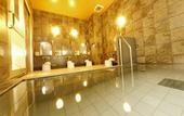 Туры в отель Hotel Route Inn Shibukawa
