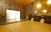 Туры в отель Hotel Route Inn Shibukawa