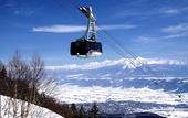 Туры в отель Shin Furano Prince Hotel