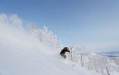 Туры в отель Shin Furano Prince Hotel