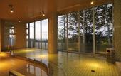 Туры в отель Shin Furano Prince Hotel