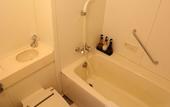 Туры в отель Shin Furano Prince Hotel