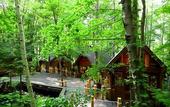 Туры в отель Shin Furano Prince Hotel