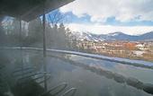 Туры в отель Hakuba Highland Hotel