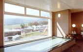 Туры в отель Resort Inn Marion Shinano