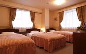 Туры в отель Resort Inn Marion Shinano